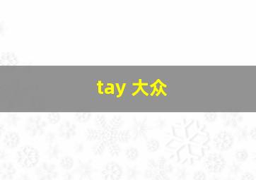 tay 大众